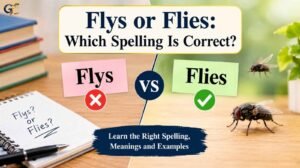 Flys or Flies