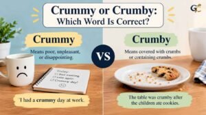 Crummy or Crumby