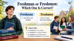 Freshman or Freshmen