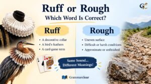 Ruff or Rough